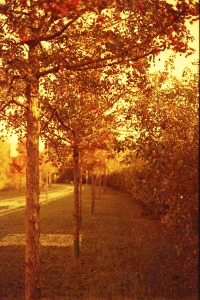 tumblr_lz30n2gfgf1r2b6h8o1_1280.jpg tumblr_lz30n2gfgf1r2b6h8o1_1280.jpg